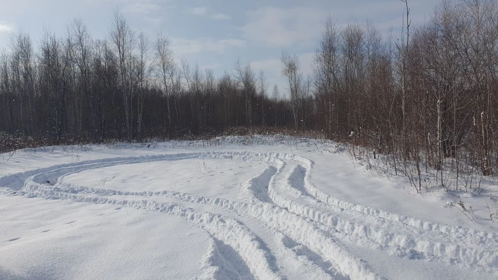 Alt: Зимний вид территории базы отдыха Подушкин Лес в окрестностях села Мичуринского Хабаровского района — заснеженная поляна с берёзовым лесом